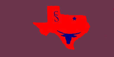 Texas Logo